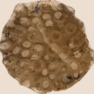 Stylina