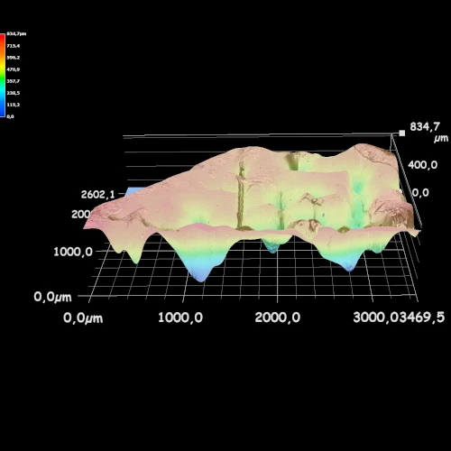 plateforme Technique de microscopie et microthermométrie 17 Cartographie 3D d'inclusions fluides