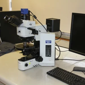 Microscope Optique (Olympus)