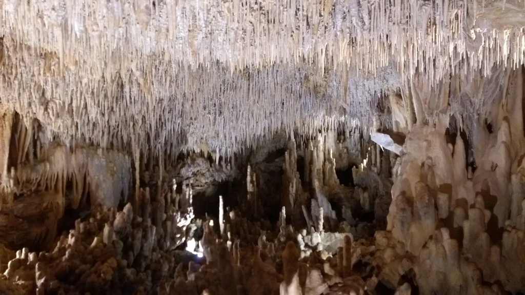 Projet DECACLIM Cavités ornées